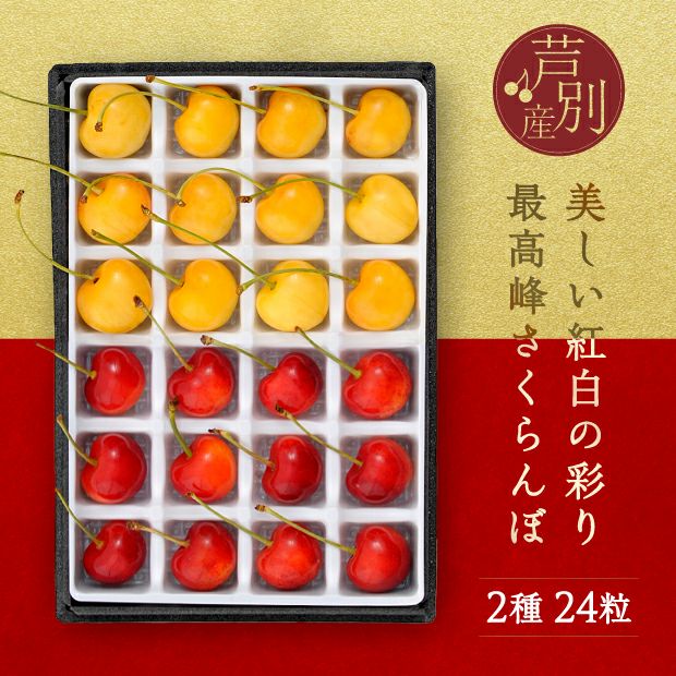 箱の中の仕切りに一つ一つきれいに並んだ赤と黄色の24粒のさくらんぼ