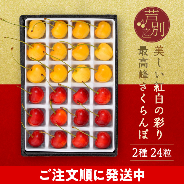 箱の中の仕切りに一つ一つきれいに並んだ赤と黄色の24粒のさくらんぼ