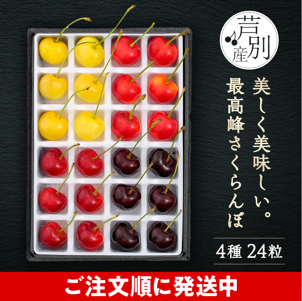 箱の中の仕切りに一つ一つきれいに並んだ24粒のさくらんぼ