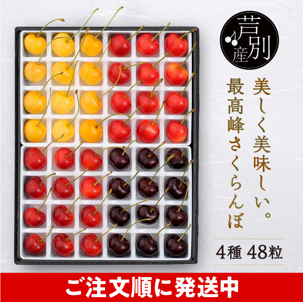 箱の中の仕切りに一つ一つきれいに並んだ48粒のさくらんぼ