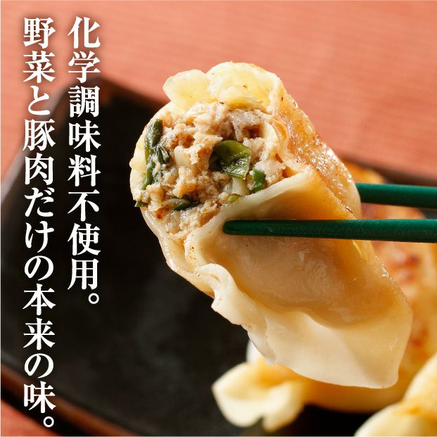 弟子屈餃子2.0　よだれ餃子 10個入り×3パックセット