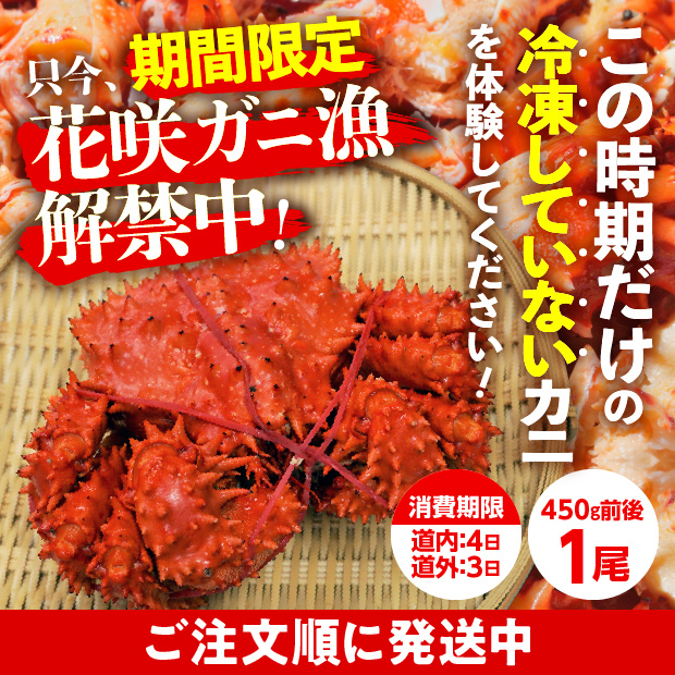 とれたて　浜茹で(未冷凍)花咲ガニ(オス)　1尾