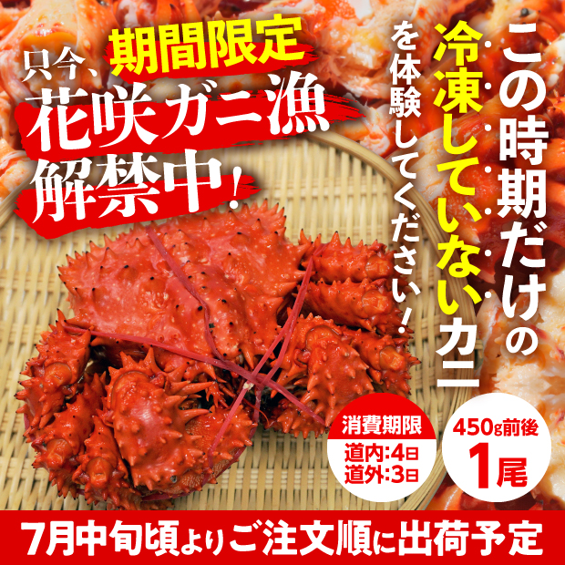 とれたて　浜茹で(未冷凍)花咲ガニ(オス)　1尾
