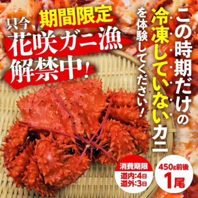 とれたて 浜茹で(未冷凍) 花咲ガニ(オス)・1尾 | 食べレア北海道 - 北海道の物産の「レア」な魅力を全国に発信するお取り寄せ通販サイト