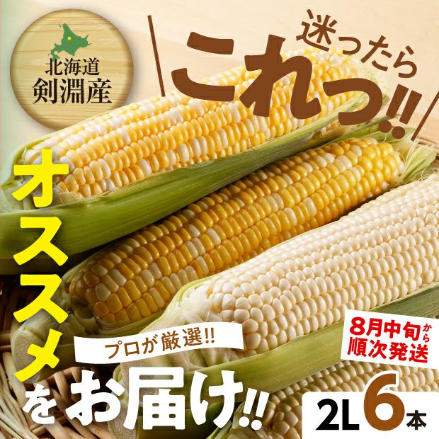 おまかせ6本2L｜上川 けんぶちVIVAマルシェ｜とうもろこし｜食べレア北海道 物産 お取り寄せ