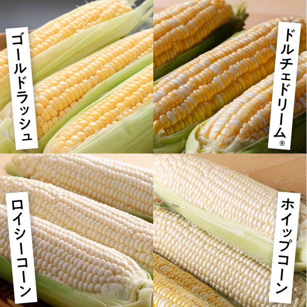 美味しそうな4種のとうもろこし