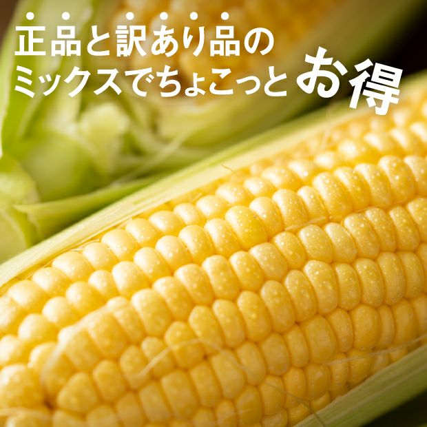 訳あり入おまかせ6本｜上川 けんぶちVIVAマルシェ｜とうもろこし｜食べ