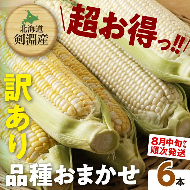 訳あり6本｜上川 けんぶちVIVAマルシェ｜とうもろこし｜食べレア北海道 物産 お取り寄せ