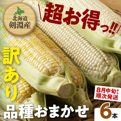 種子島産　らっきょう　5キロ とうもろこし8本 宮崎県より産地直送 JAみやざき宮崎中央地区本部 とうもろこし