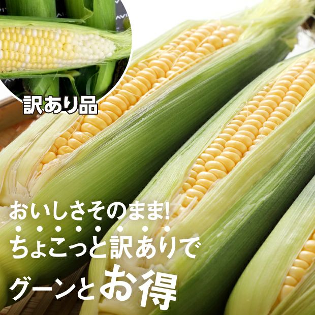 訳あり6本｜上川 けんぶちVIVAマルシェ｜とうもろこし｜食べレア北海道 物産 お取り寄せ