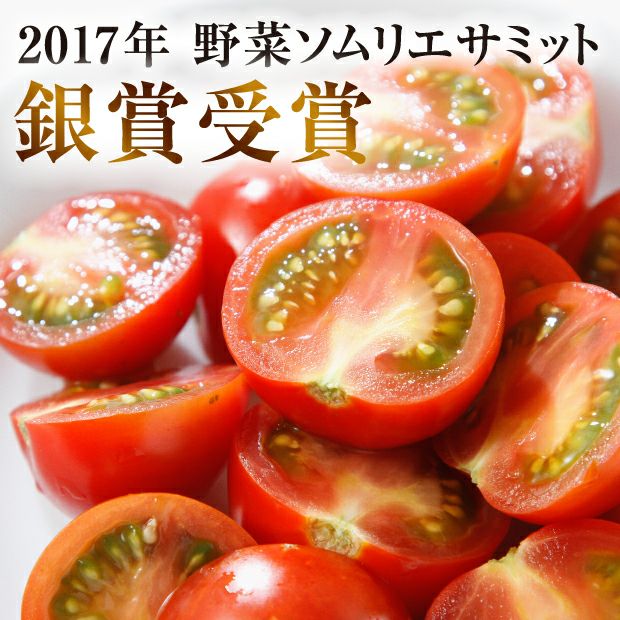 とまとページ レッドジュエル・プレミアム800｜石狩 Jファーム｜フルーツトマト