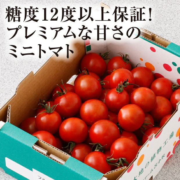 箱詰めされた真っ赤で美味しそうなレッドジュエルプレミアム