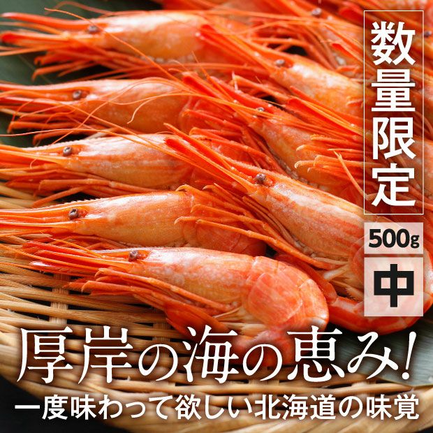 厚岸産 北海しまえび 中サイズ 500g | 食べレア北海道 - 北海道の物産