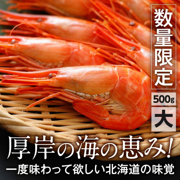 厚岸産　北海しまえび　大サイズ500g