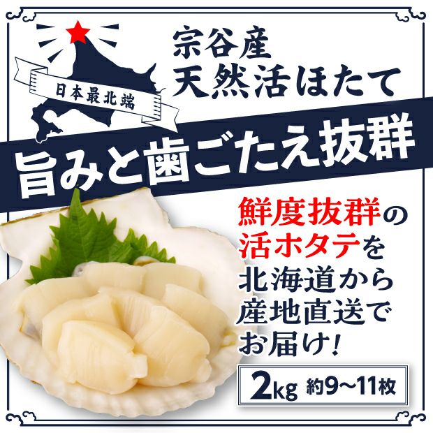 宗谷産 殻付き活ホタテ2kg(約9～11枚) ※専用ヘラ付き