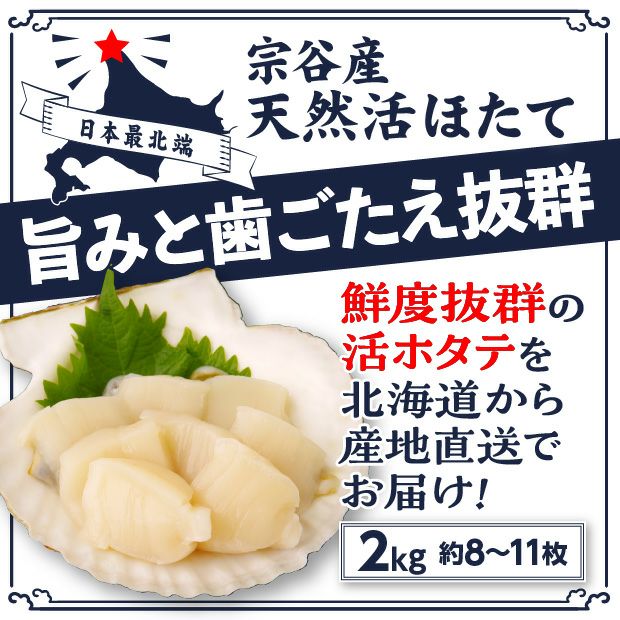 宗谷産 殻付き活ホタテ2kg(約9～11枚) ※専用ヘラ付き