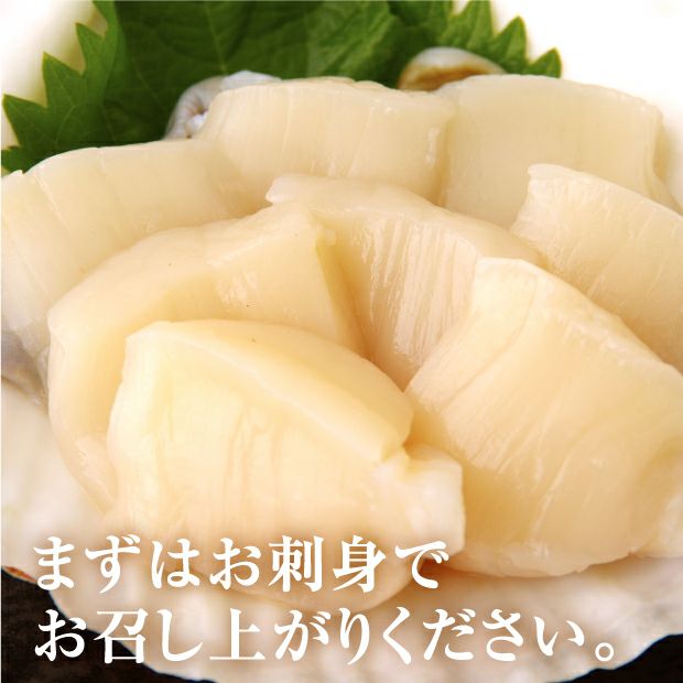 宗谷産 殻付き活ホタテ2kg(約9～11枚) ※専用ヘラ付き