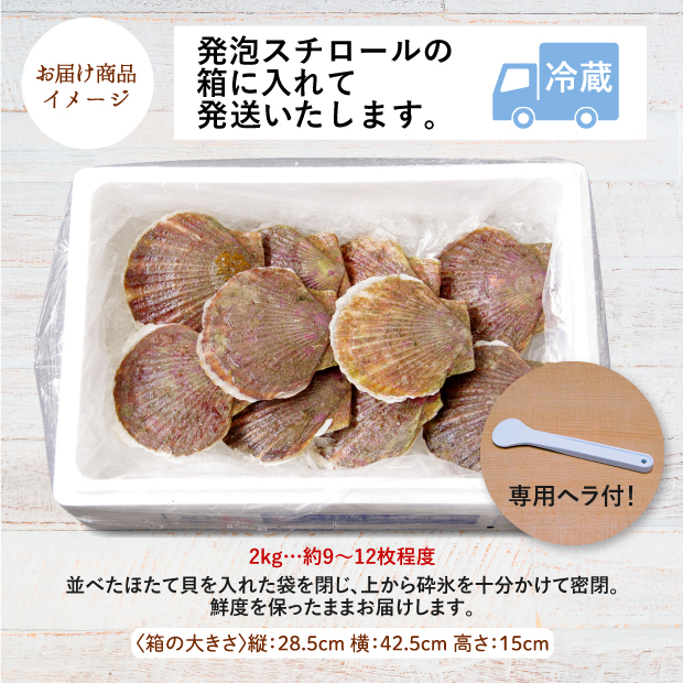 宗谷産 殻付き活ホタテ2kg(約9～11枚) ※専用ヘラ付き
