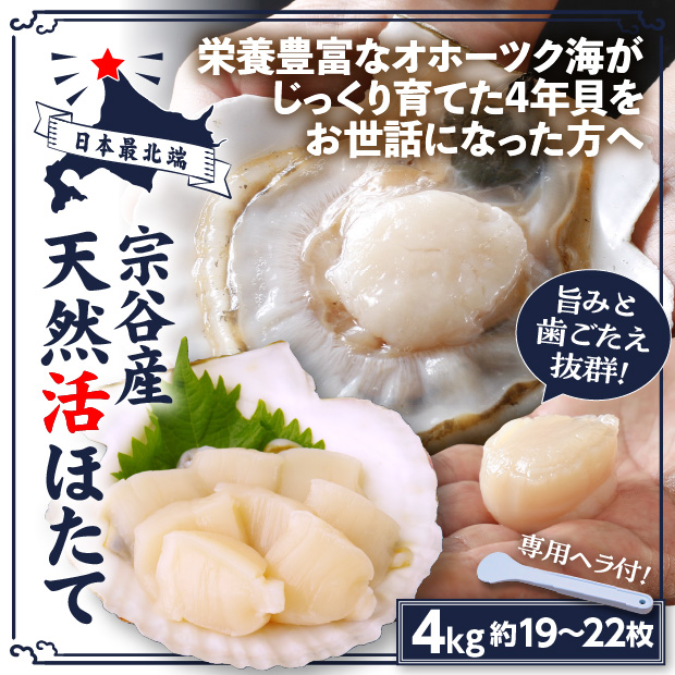 宗谷産 殻付き活ホタテ4kg(約19～21枚) ※専用ヘラ付き