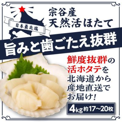 野付産天然ジャンボ活ほたて5㎏（野付産）｜北海道 根室 お