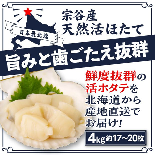 宗谷産 殻付き活ホタテ4kg(約19～21枚) ※専用ヘラ付き