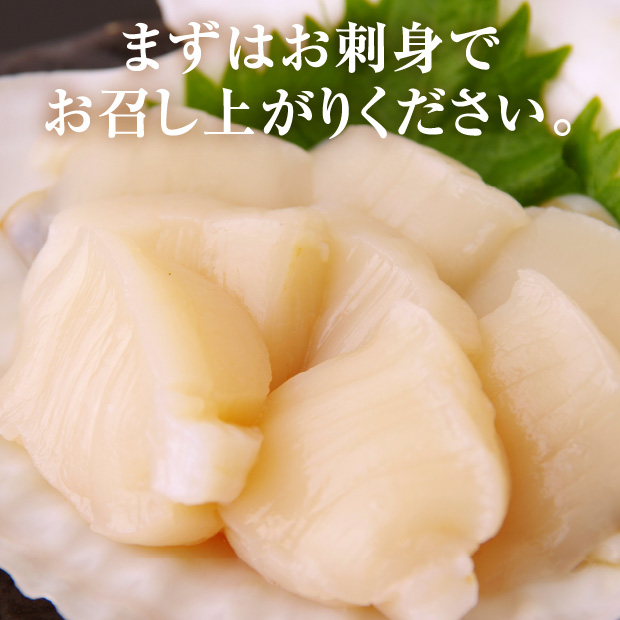 宗谷産 殻付き活ホタテ4kg(約19～21枚) ※専用ヘラ付き