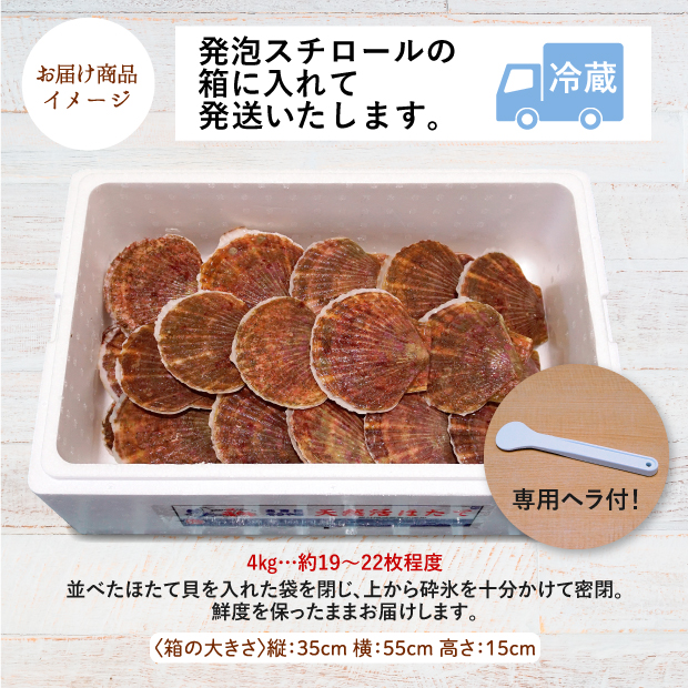 宗谷産 殻付き活ホタテ4kg(約19～21枚) ※専用ヘラ付き