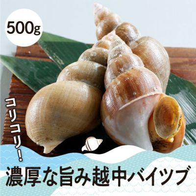 専用ページ　牡蠣6kg＋活ツブ3kg 送料無料 貝3種セット 生牡蠣 1kg ホタテ 1kg つぶ貝開き 500g