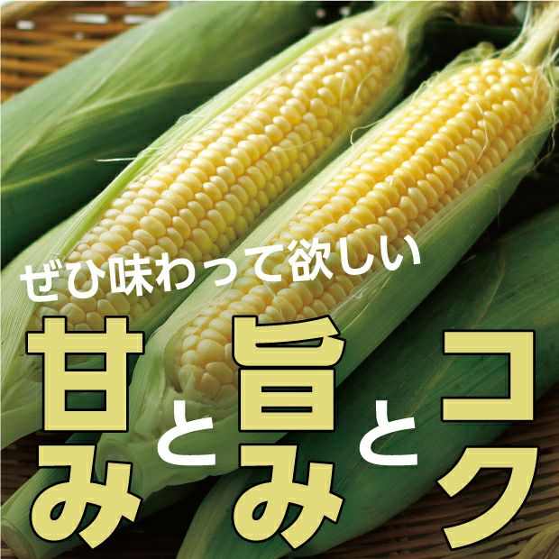 とても美味しそうなとうもろこし味来