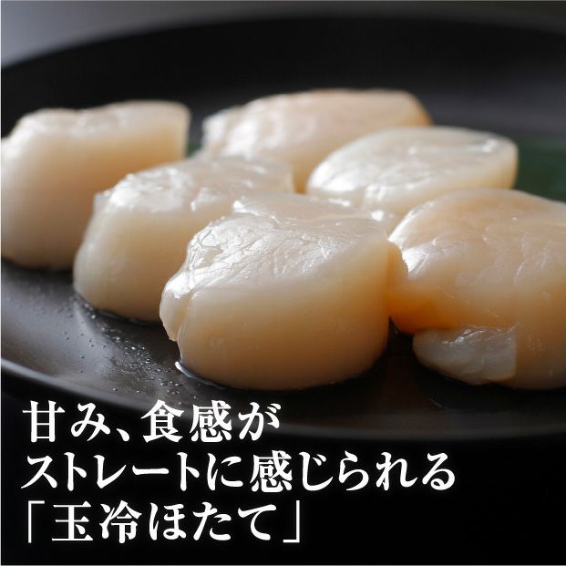 北海道産 冷凍ほたて貝柱 500g