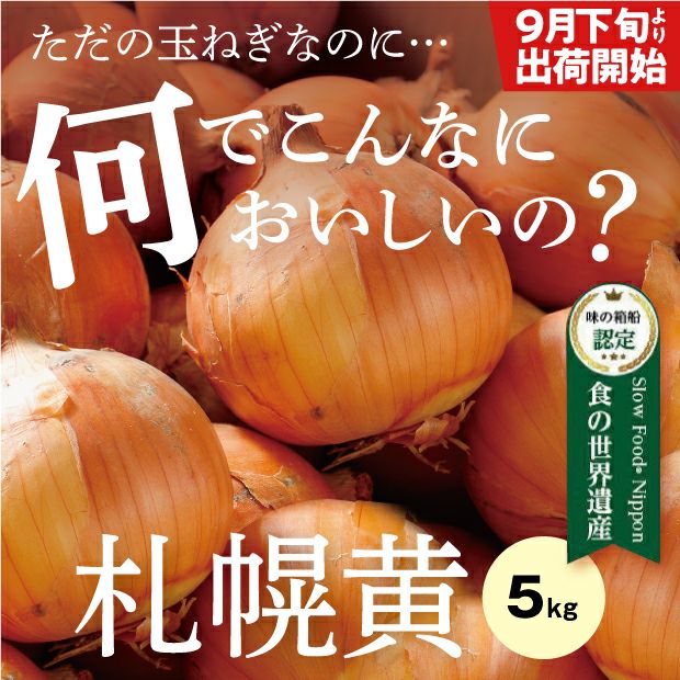 新鮮でとても美味しそうなたまみ農園の黄玉ねぎ