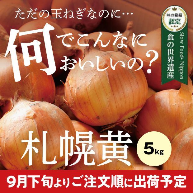 新鮮でとても美味しそうなたまみ農園の黄玉ねぎ