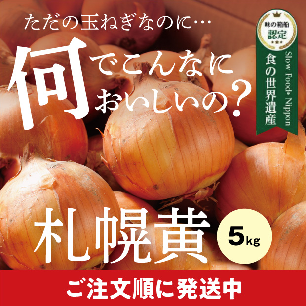 新鮮でとても美味しそうなたまみ農園の黄玉ねぎ