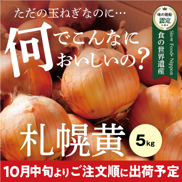 新鮮でとても美味しそうなたまみ農園の黄玉ねぎ