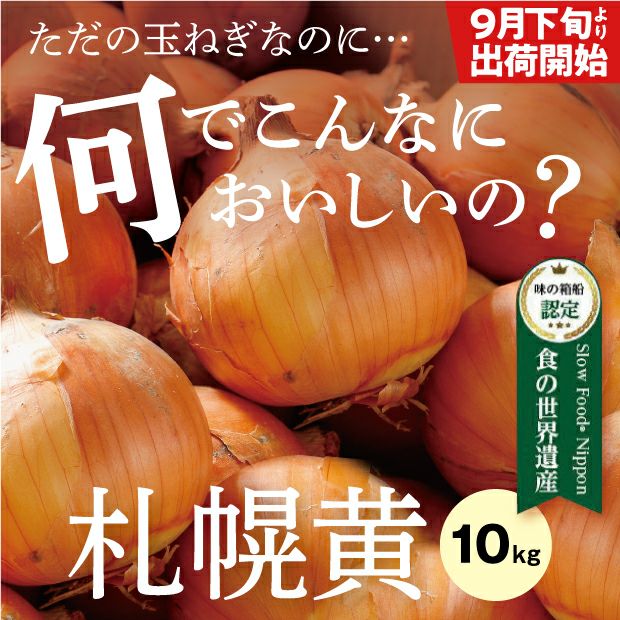 新鮮でとても美味しそうなたまみ農園の黄玉ねぎ