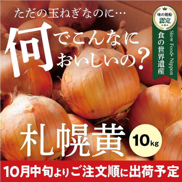 新鮮でとても美味しそうなたまみ農園の黄玉ねぎ