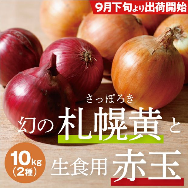 新鮮でとても美味しそうな札幌黄玉ねぎと赤玉ねぎ