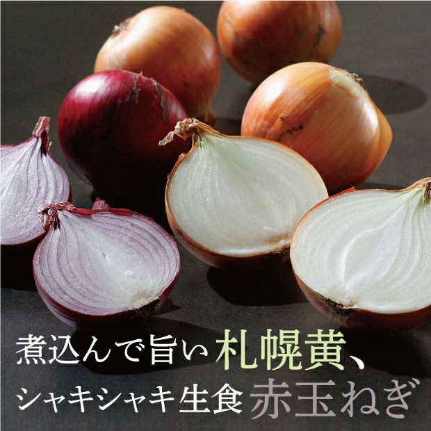 とても瑞々しい札幌黄玉ねぎと赤玉ねぎの断面