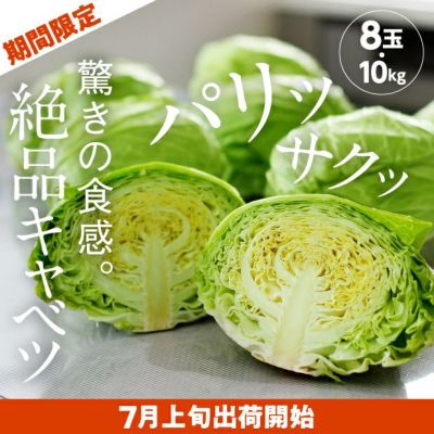 さらべつきゃべつ 生鮮 野菜｜食べレア北海道 通販 お取り寄せ