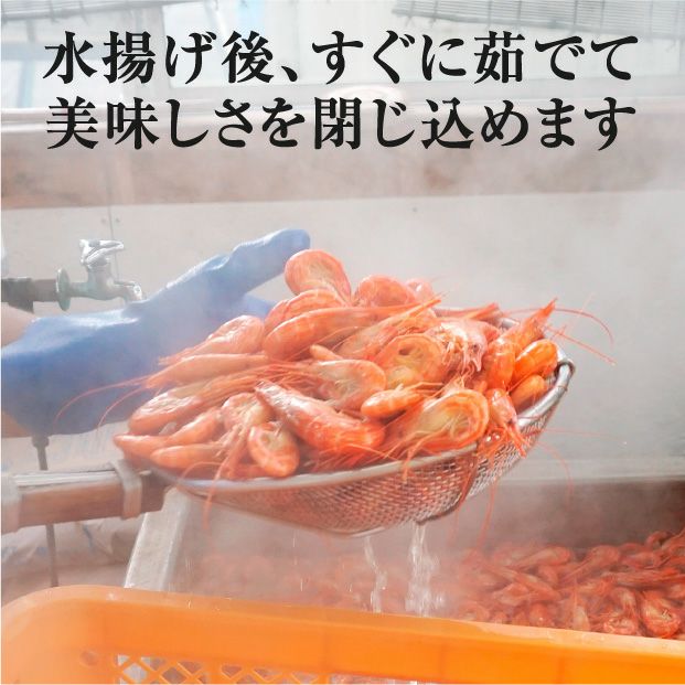 冷凍】浜茹 北海しまえび 中サイズ 500g 海鮮｜食べレア北海道 通販 お