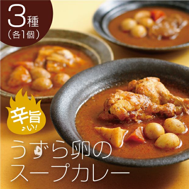 とても美味しそうな3種類のスープカレー