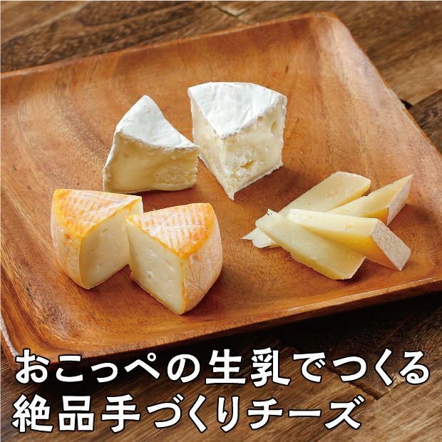 とても美味しそうな3種類のチーズ