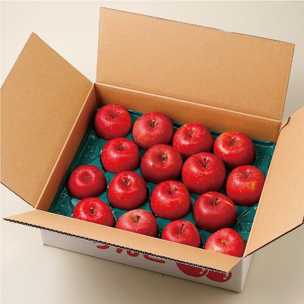 箱に詰められたサンふじりんご5kg