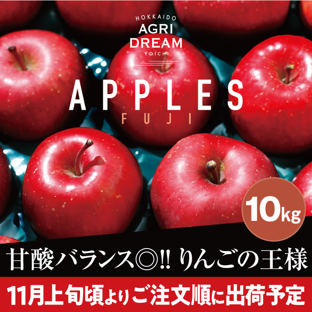 色艶よくとても美味しそうな北海道アグリドリームのサンふじりんご