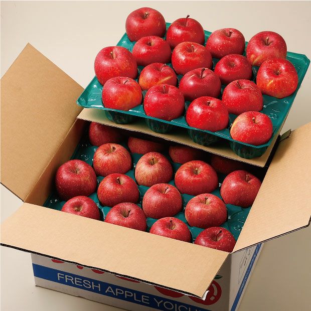 箱に詰められたサンふじりんご10kg