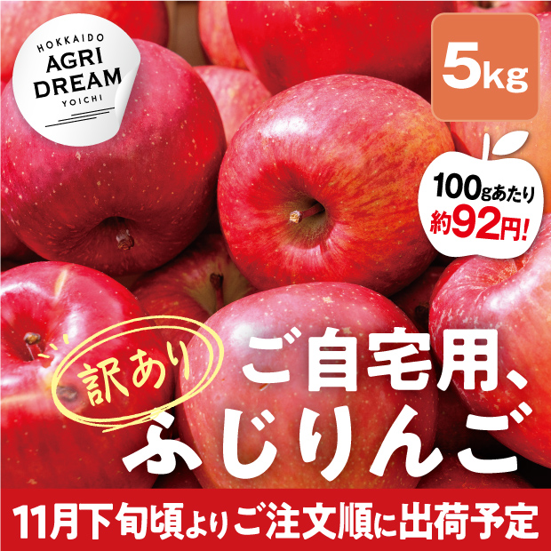 美味しそうな北海道アグリドリームのサンふじりんご