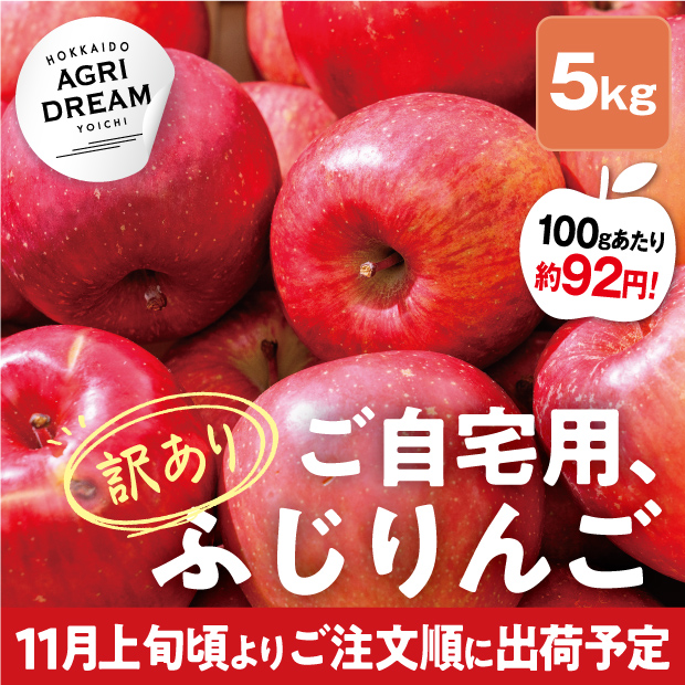 美味しそうな北海道アグリドリームのサンふじりんご