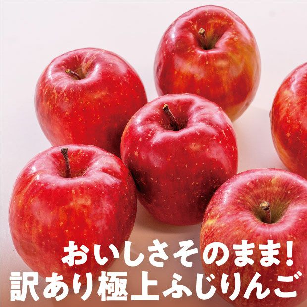 美味しそうな北海道アグリドリームのサンふじりんご