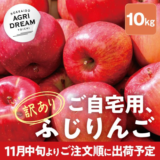 美味しそうな北海道アグリドリームのサンふじりんご