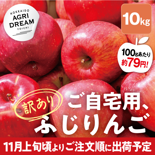 美味しそうな北海道アグリドリームのサンふじりんご